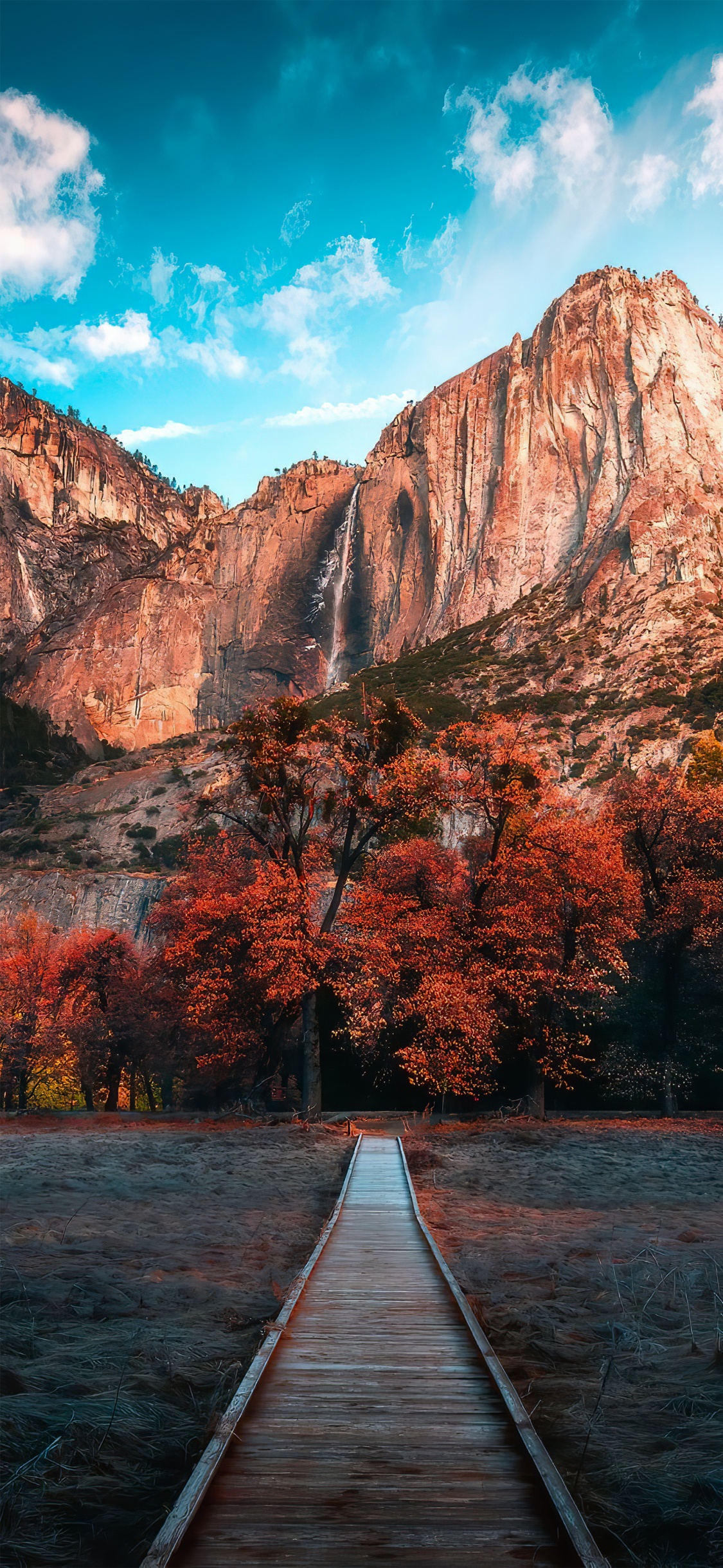 le Parc National De, Eau, la Journée, L'écorégion, Paysage Naturel. Wallpaper in 1125x2436 Resolution