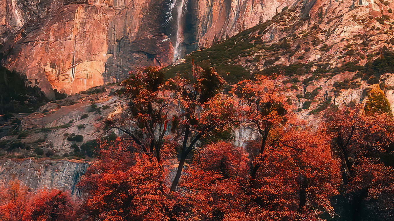 生态区, 自然景观, 自然环境, 木 壁纸 1366x768 允许