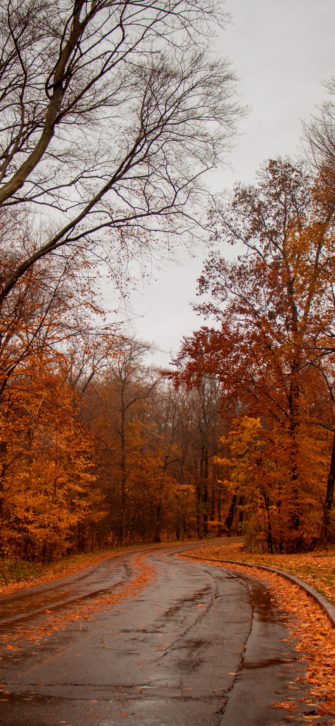 Naturaleza, Paisaje Natural, Carretera, Entorno Natural, Sucursal. Wallpaper in 1125x2436 Resolution