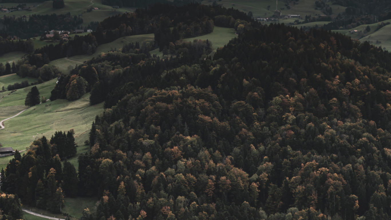 Forêt, Les Reliefs Montagneux, Colline, Highland, Environnement Naturel. Wallpaper in 1366x768 Resolution