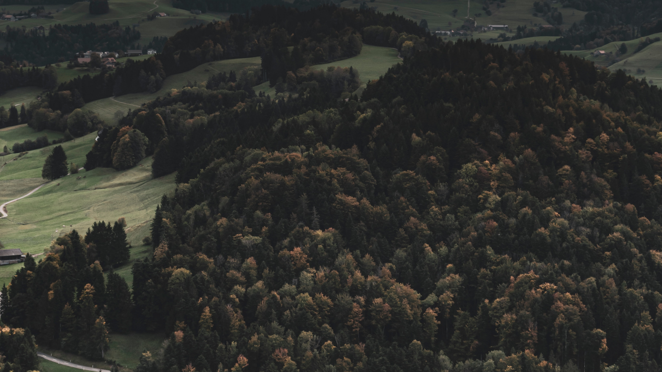Forêt, Les Reliefs Montagneux, Colline, Highland, Environnement Naturel. Wallpaper in 2560x1440 Resolution