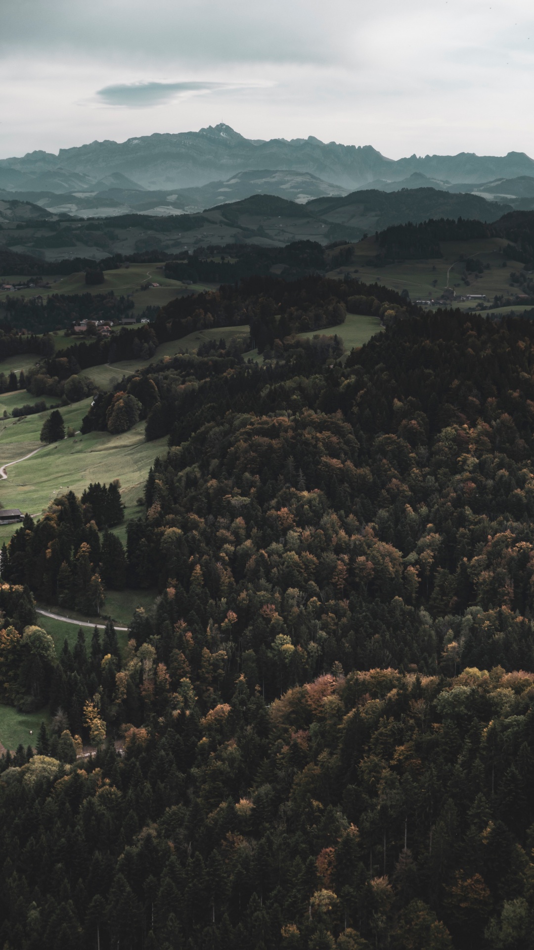 Wilderness, Forest, Mountainous Landforms, Trough The River, Hill. Wallpaper in 1080x1920 Resolution