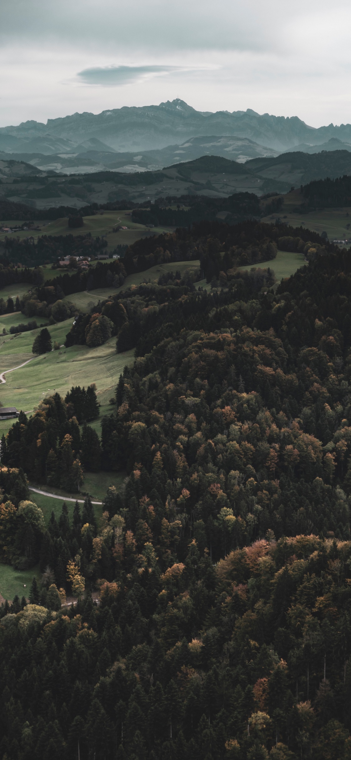Wilderness, Forest, Mountainous Landforms, Trough The River, Hill. Wallpaper in 1125x2436 Resolution