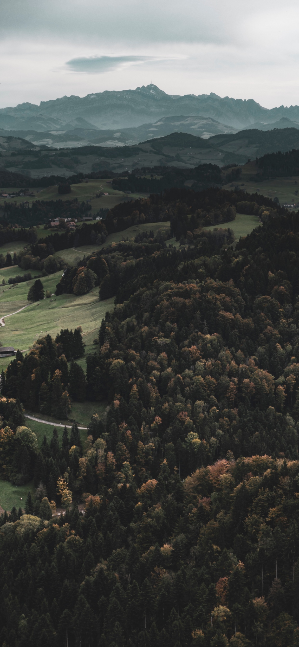 Wilderness, Forest, Mountainous Landforms, Trough The River, Hill. Wallpaper in 1242x2688 Resolution