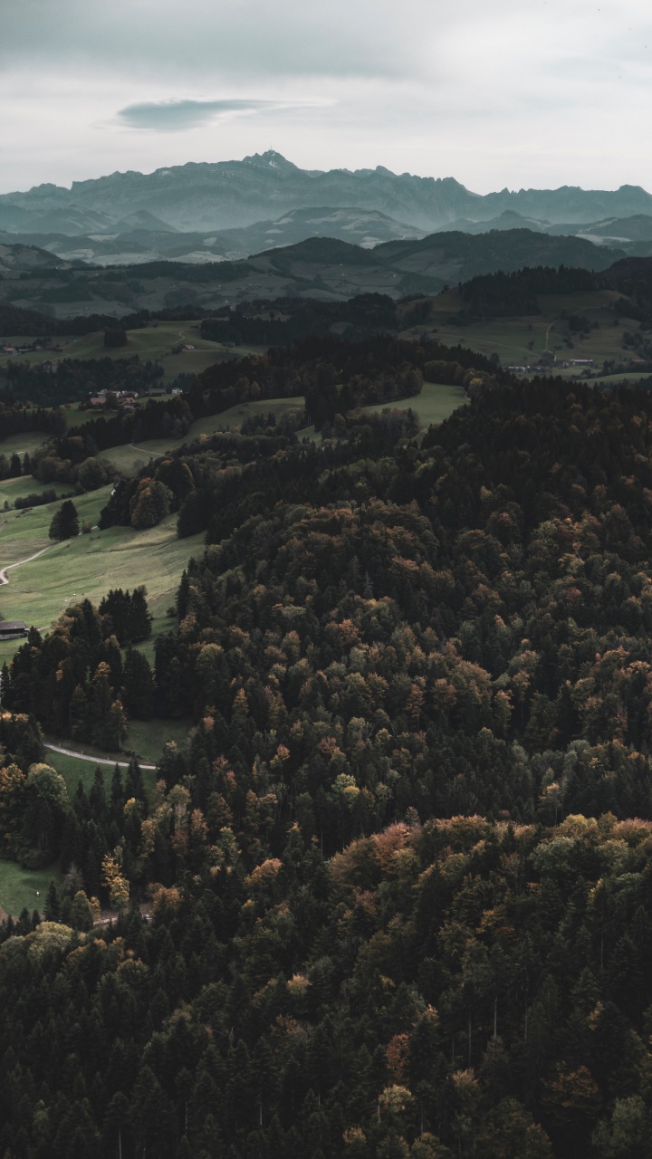 Wilderness, Forest, Mountainous Landforms, Trough The River, Hill. Wallpaper in 720x1280 Resolution