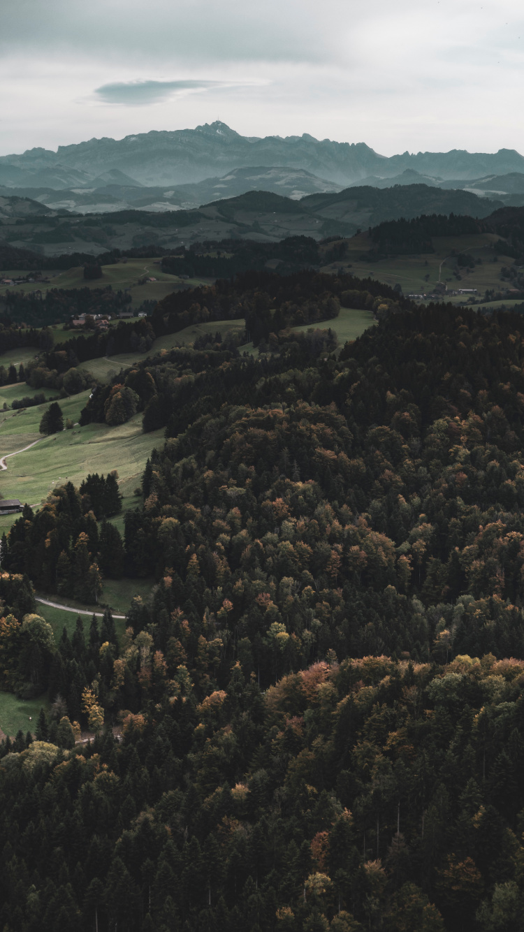 Wildnis, Wald, Bergigen Landschaftsformen, Hill, Hochland. Wallpaper in 750x1334 Resolution