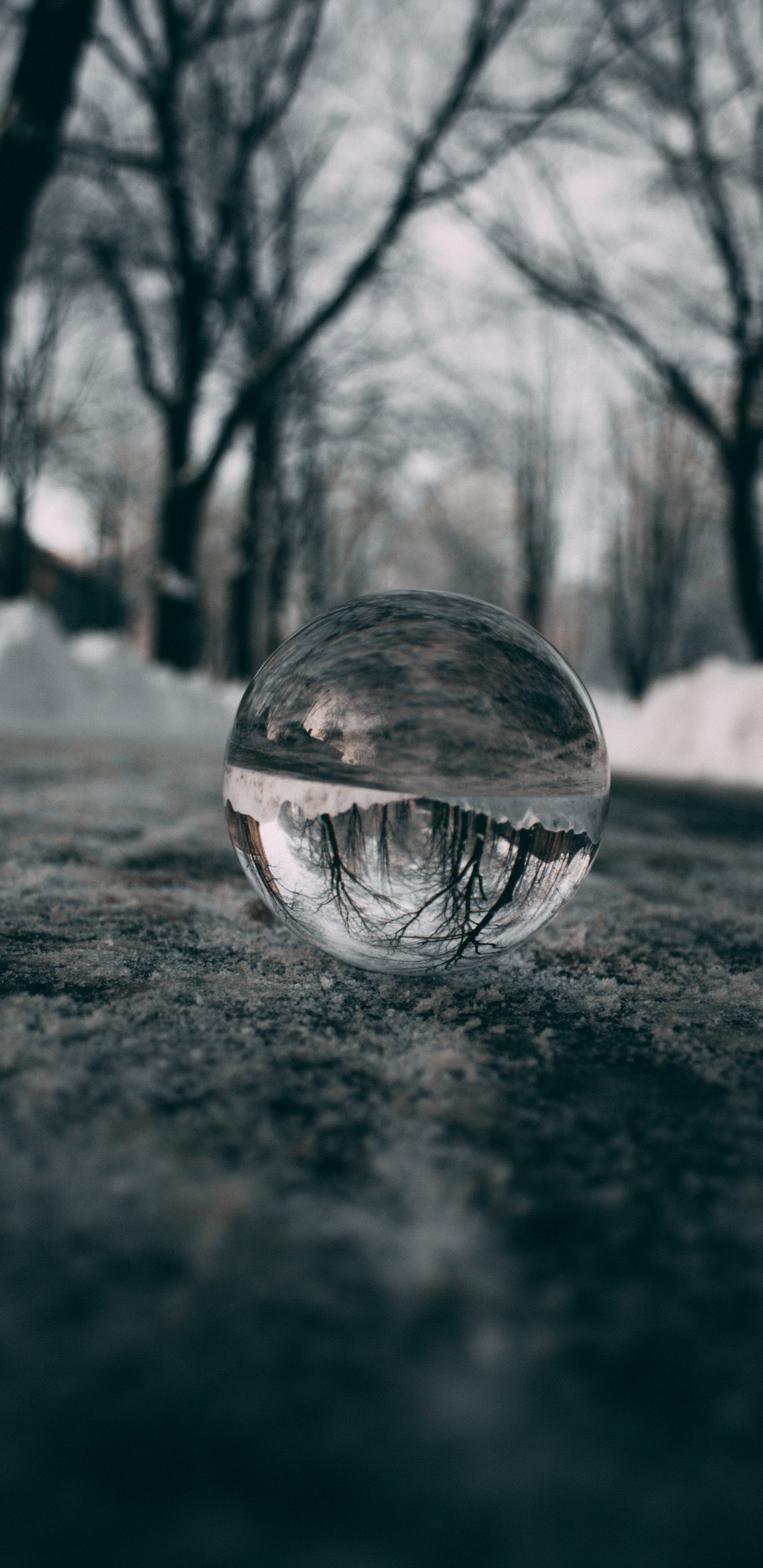 Black and White, Sky, Water, Sphere, Close Up. Wallpaper in 1440x2960 Resolution