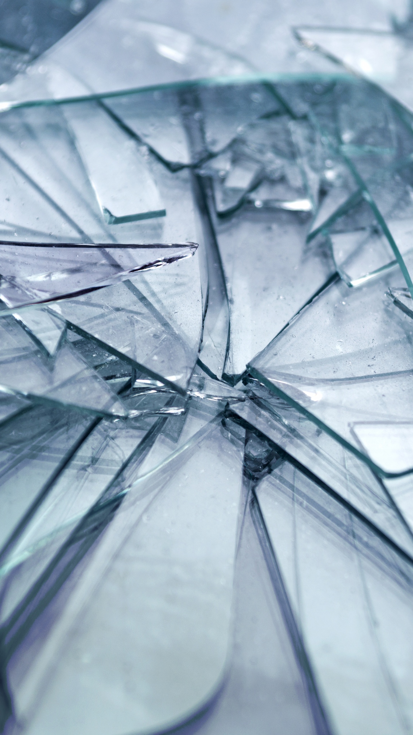 Foto en Escala de Grises de Paraguas Con Gotas de Agua. Wallpaper in 1440x2560 Resolution