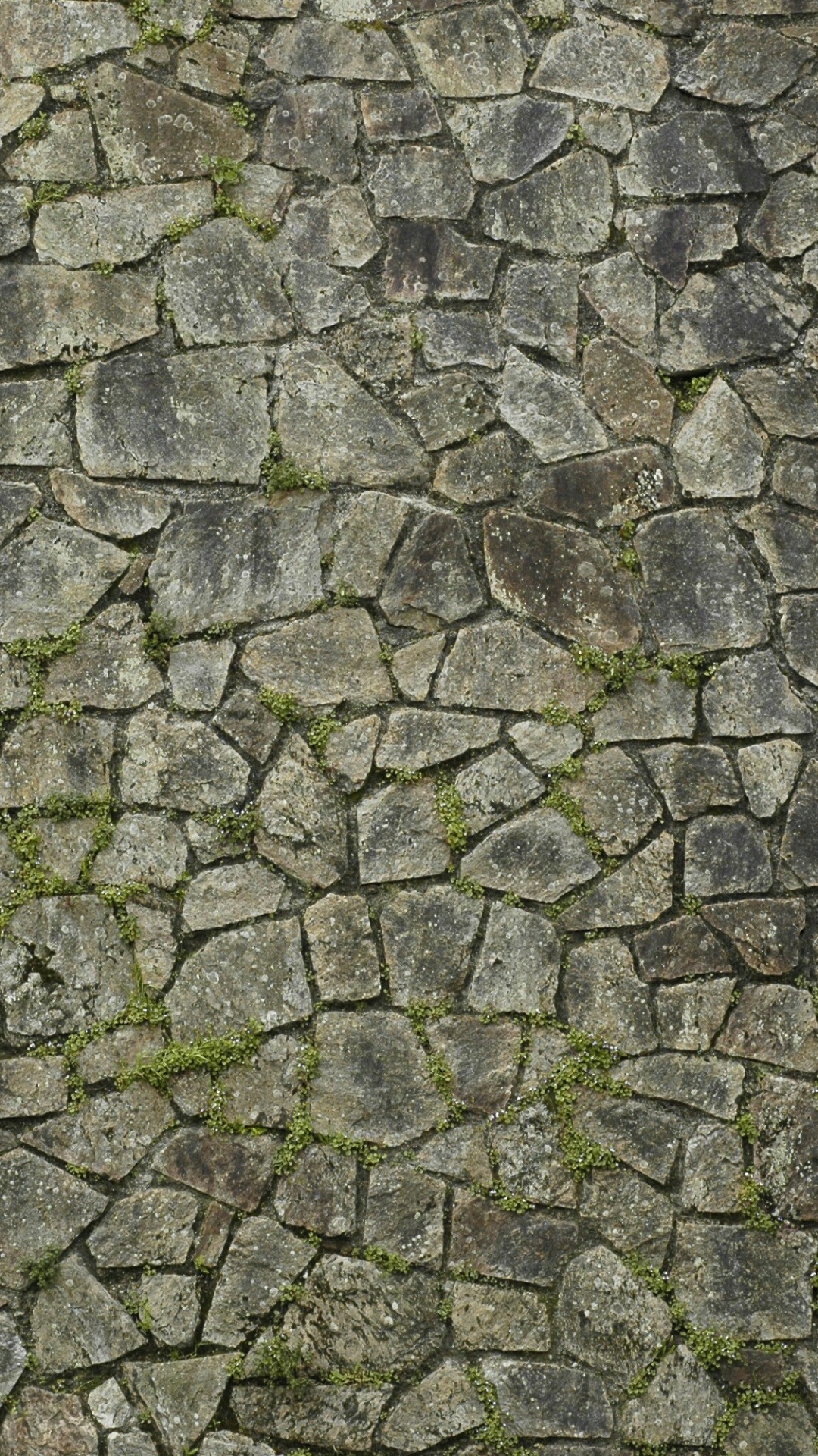 Graue Und Schwarze Mauer. Wallpaper in 1080x1920 Resolution