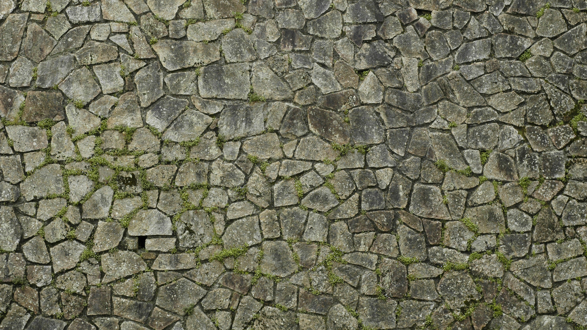 Graue Und Schwarze Mauer. Wallpaper in 1920x1080 Resolution