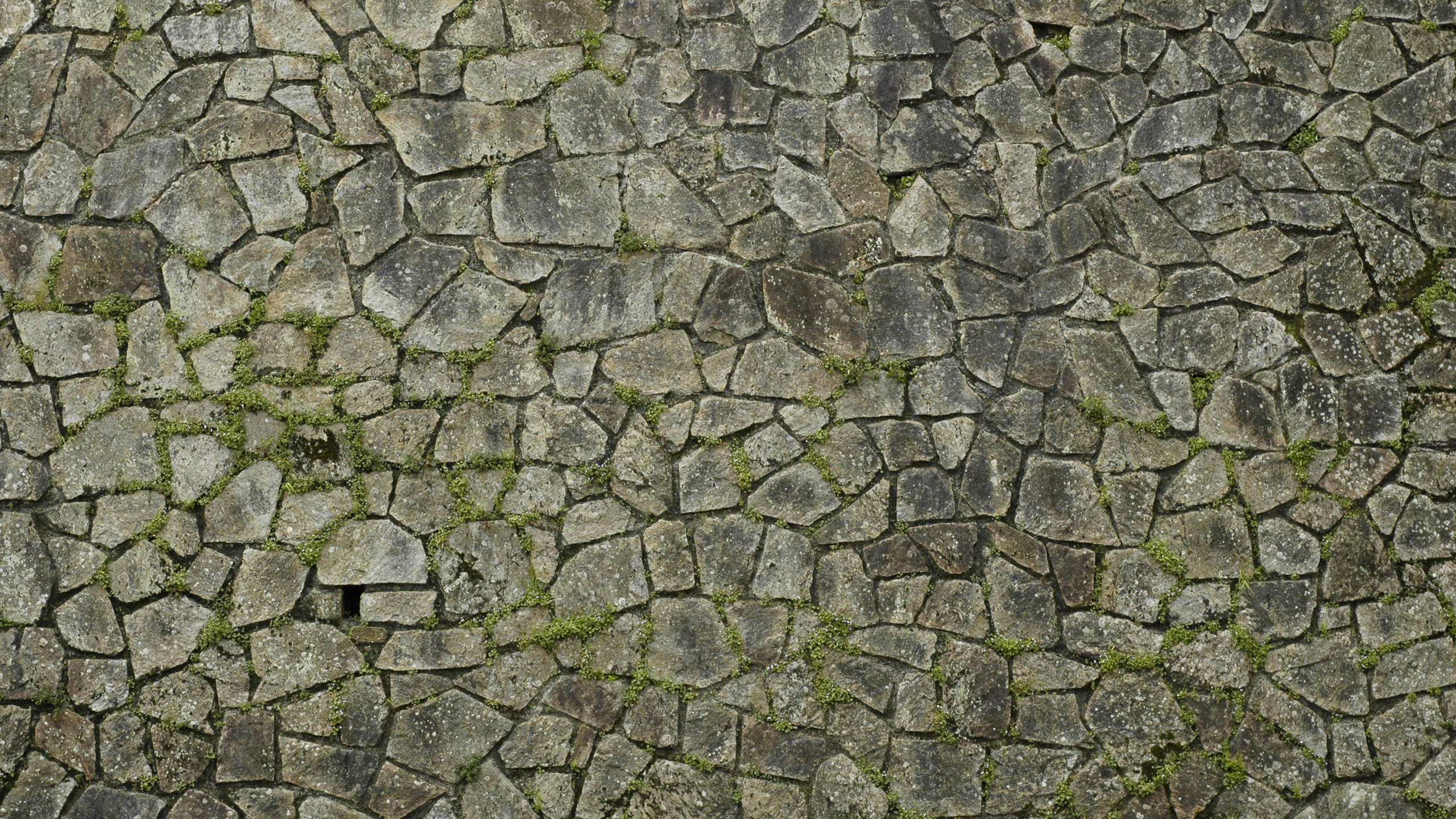 Gray and Black Brick Wall. Wallpaper in 2560x1440 Resolution