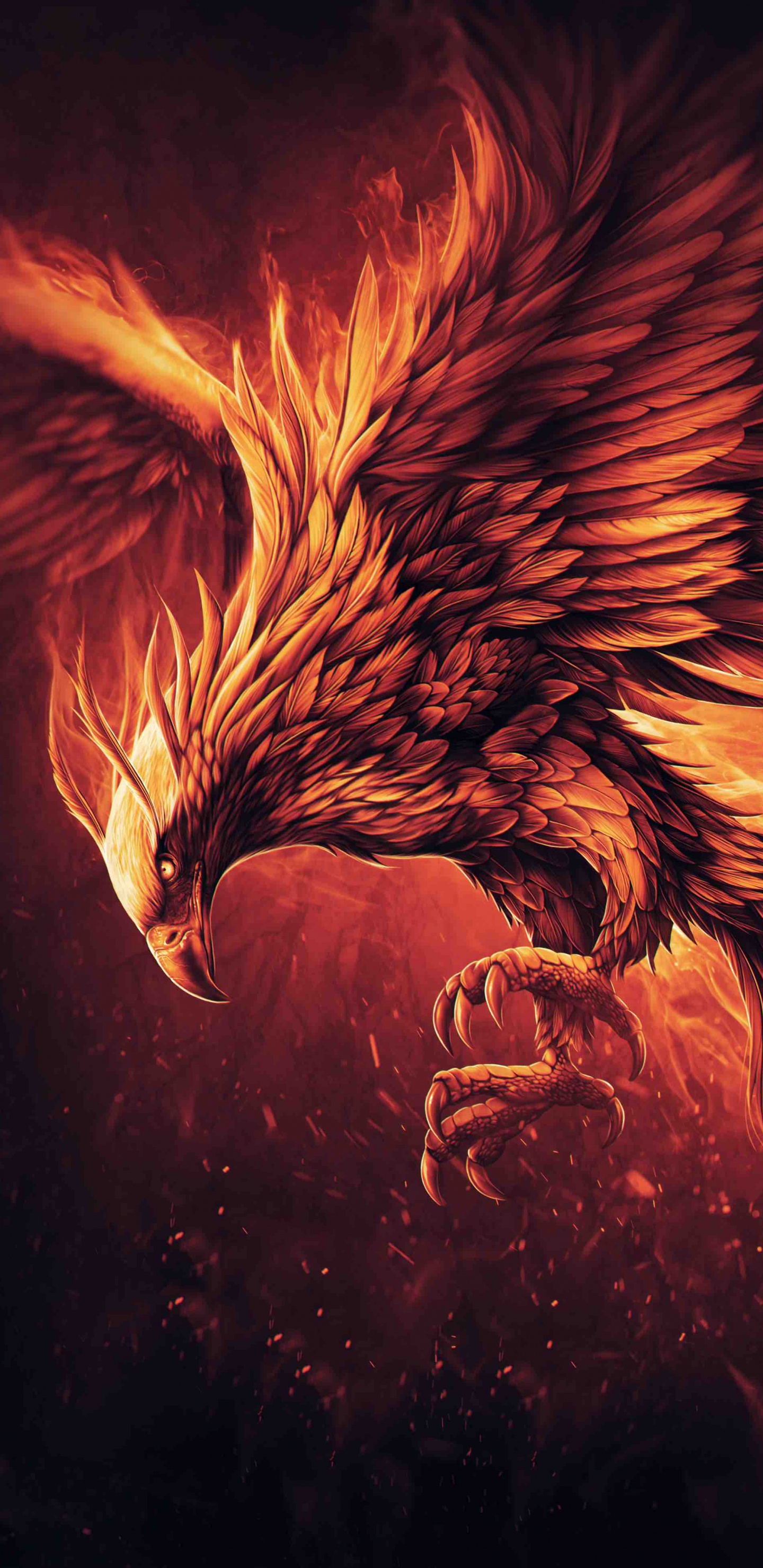 Ilustración de Dragón Naranja y Negro. Wallpaper in 1440x2960 Resolution