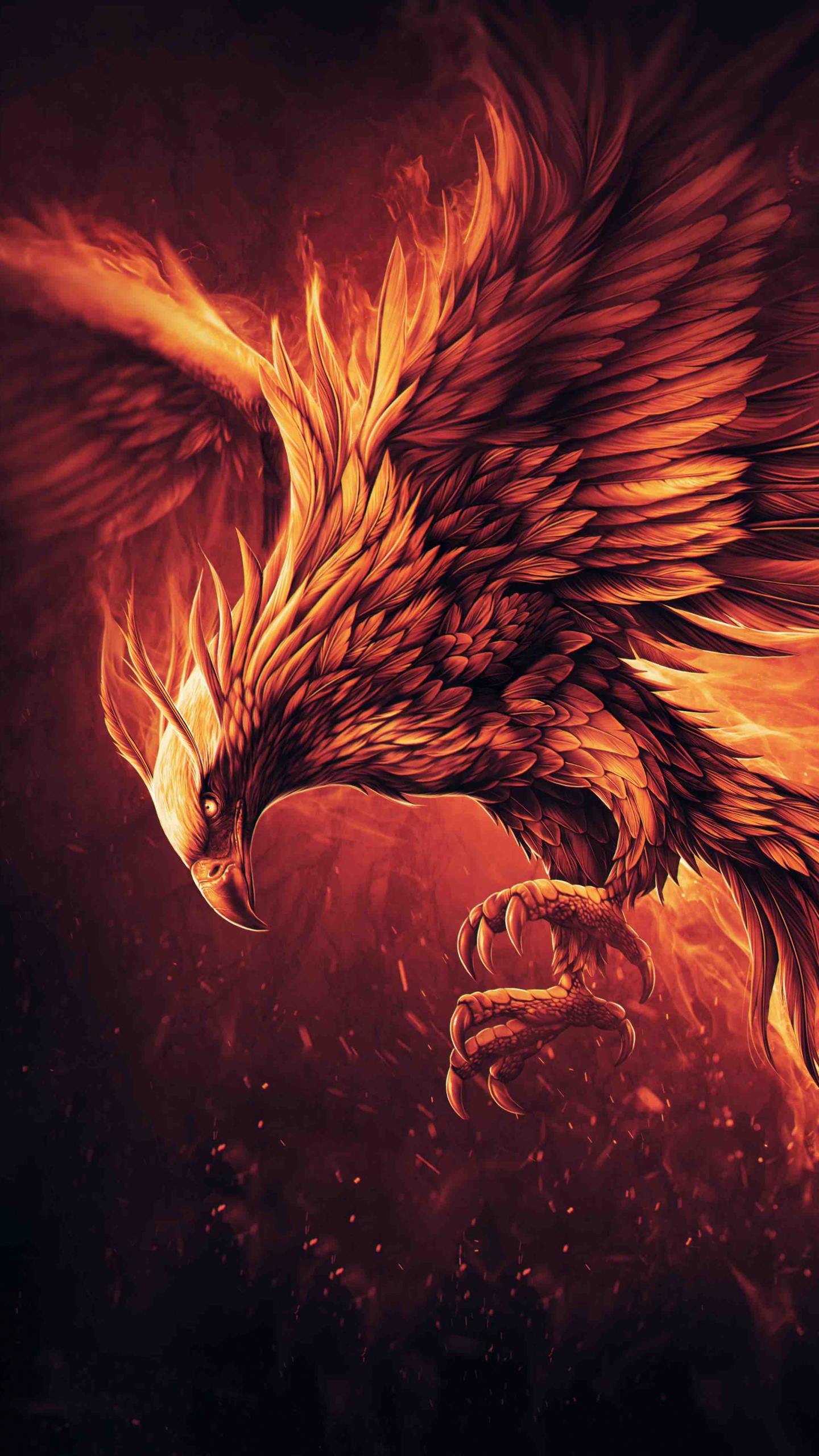 Illustration de Dragon Orange et Noir. Wallpaper in 1440x2560 Resolution