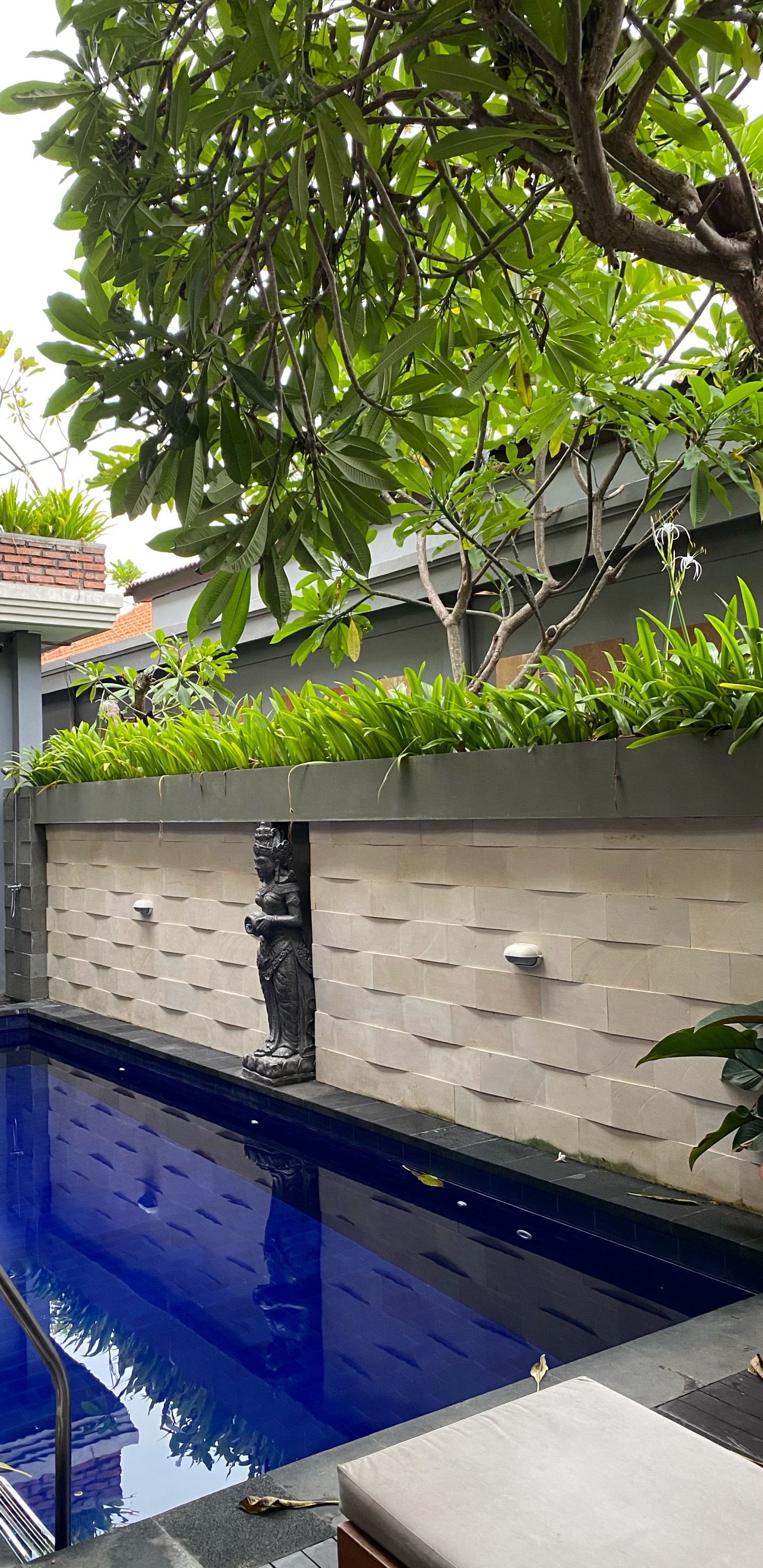 Bali, Immobilier, Eau, Bleu Majorelle, Flowerpot. Wallpaper in 1440x2960 Resolution