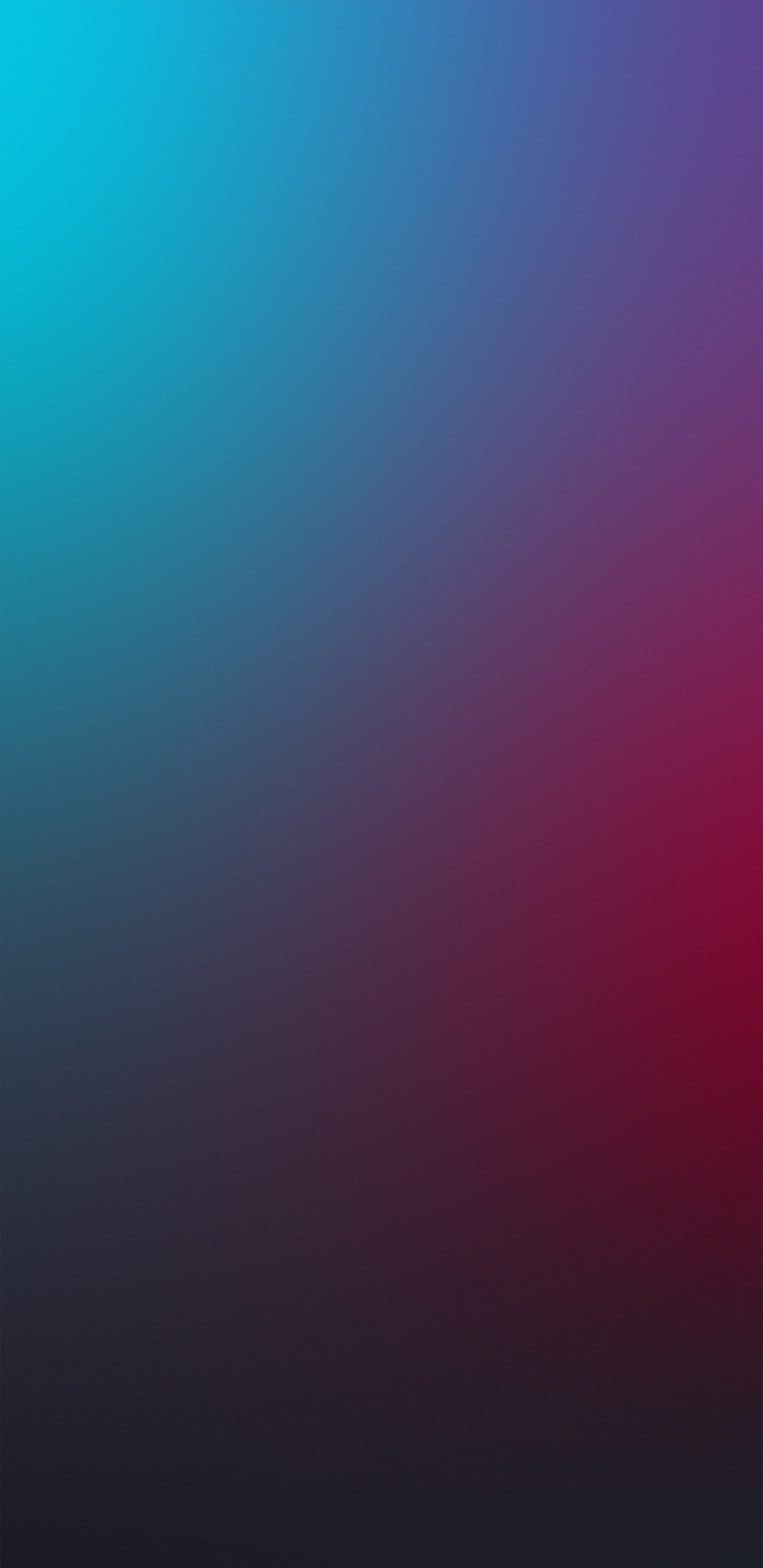 IPhone, IOS 14, Apple, IOS, la Pureté de la Couleur. Wallpaper in 1440x2960 Resolution