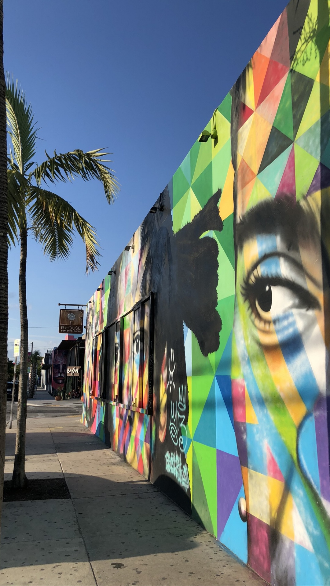 Miami, Fresque, la Pureté de la Couleur, Graffiti, de Teintes et de Nuances. Wallpaper in 1080x1920 Resolution