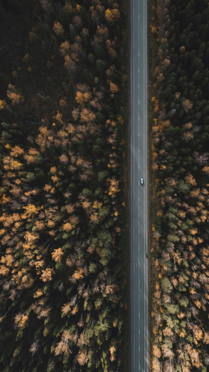Himmel, Metall, Rand, Nacht, Baum. Wallpaper in 720x1280 Resolution