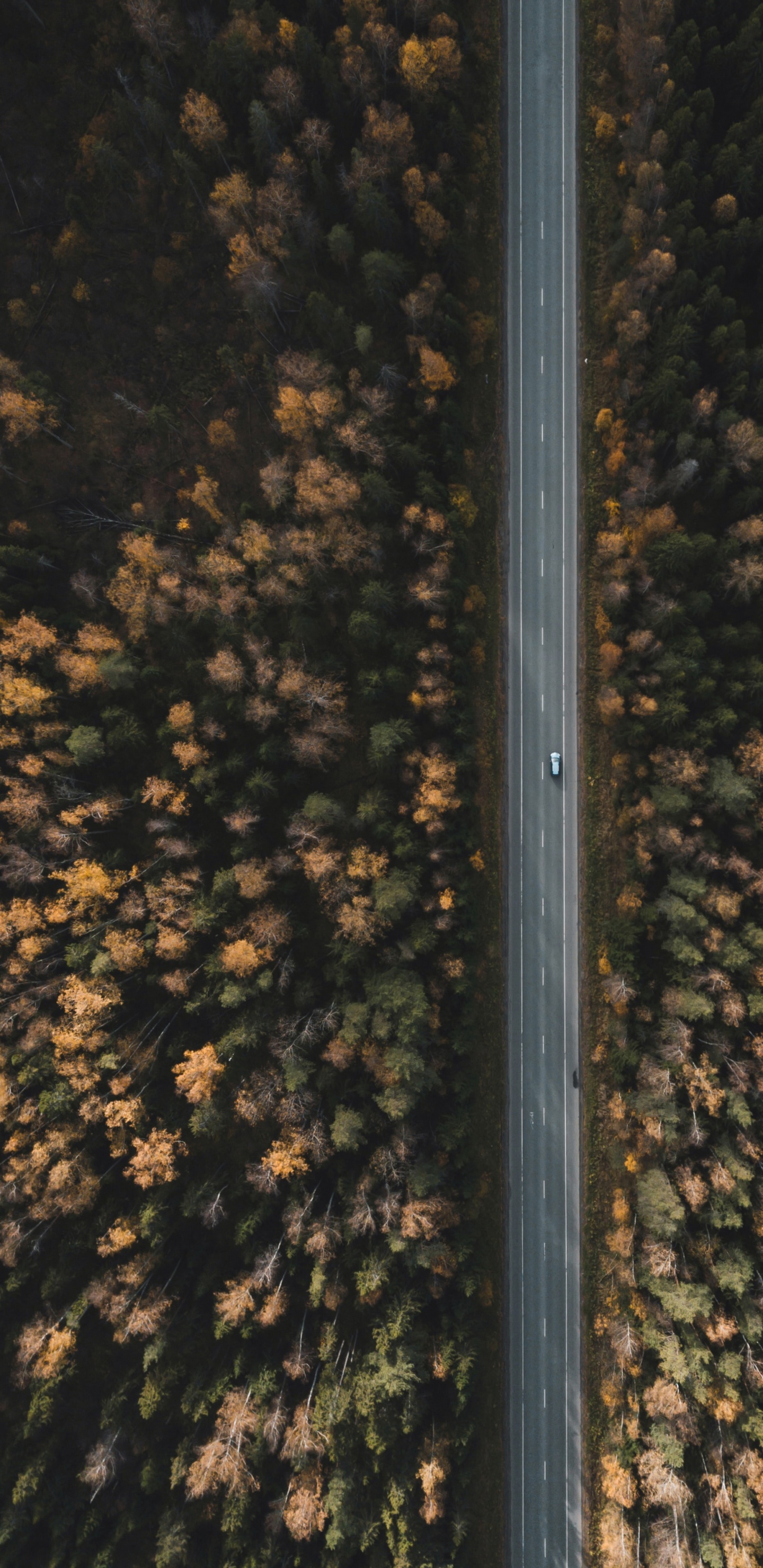 Metal, Borde, la Luz de Calle, Qhd, Carretera. Wallpaper in 1440x2960 Resolution