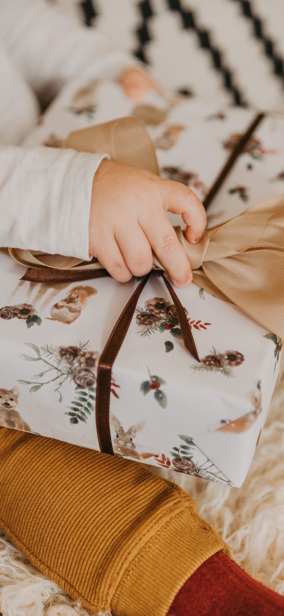 Gift, Tree, Textile, Hand, Plant. Wallpaper in 1125x2436 Resolution