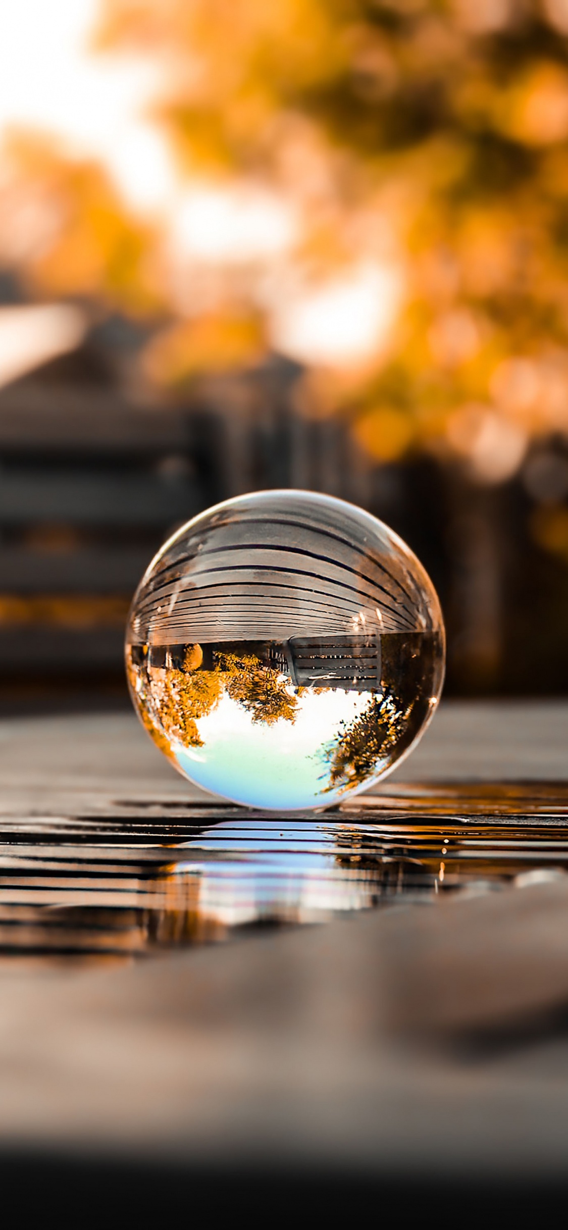 Reflexión, Agua, Iluminación Automotriz, Naranja, Madera. Wallpaper in 1125x2436 Resolution