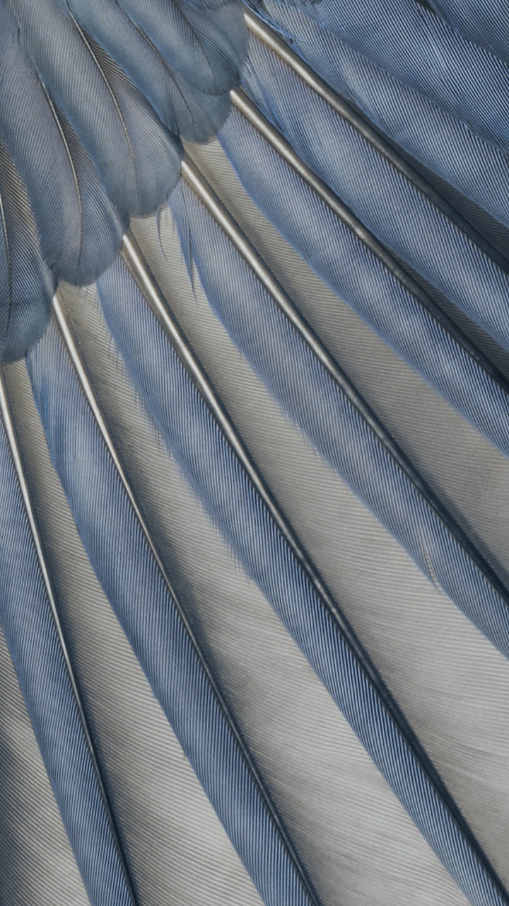 Google Píxel 7a, Tableta de Píxeles, Píxel 6a, Google, Tienda de Google. Wallpaper in 720x1280 Resolution