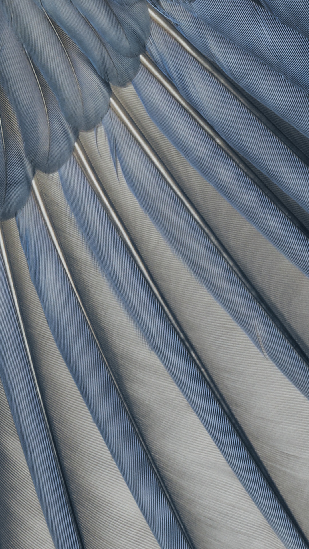 Google Pixel 7a, Tablette de Pixels, Pixels 6a, Google, Boutique Google. Wallpaper in 1080x1920 Resolution