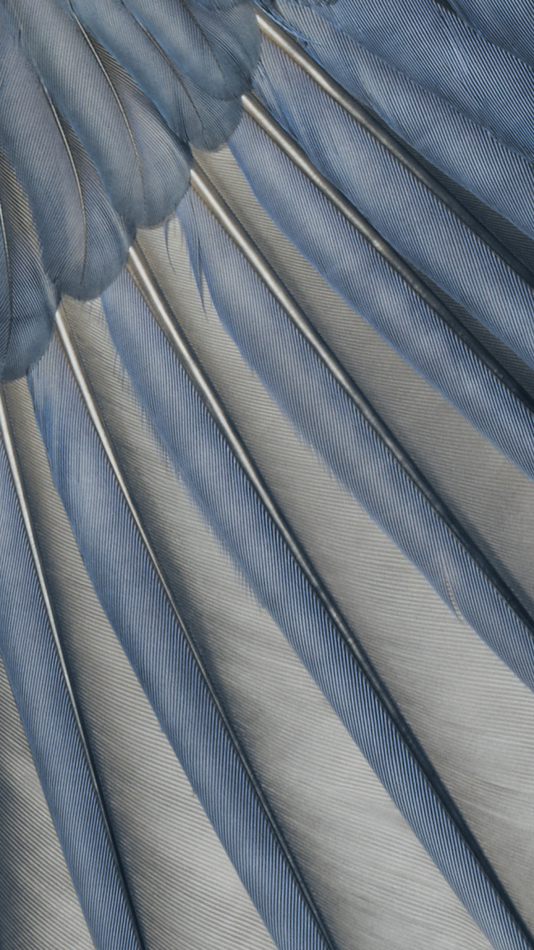 谷歌像素 7a, 像素6a, 谷歌, 智能手机, Azure 壁纸 750x1334 允许