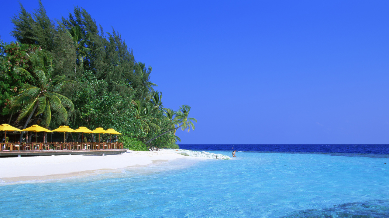 Green Trees on White Sand Beach During Daytime. Wallpaper in 1280x720 Resolution