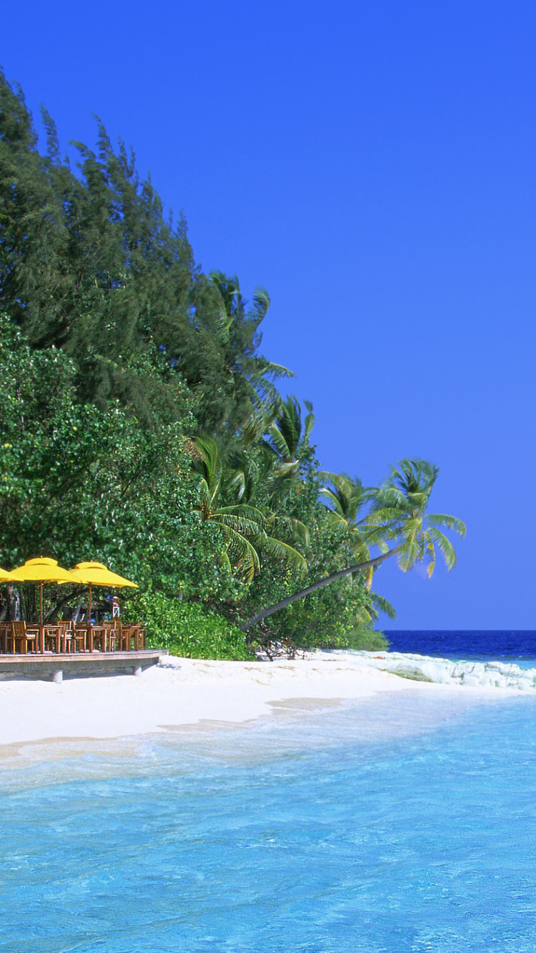 Green Trees on White Sand Beach During Daytime. Wallpaper in 750x1334 Resolution