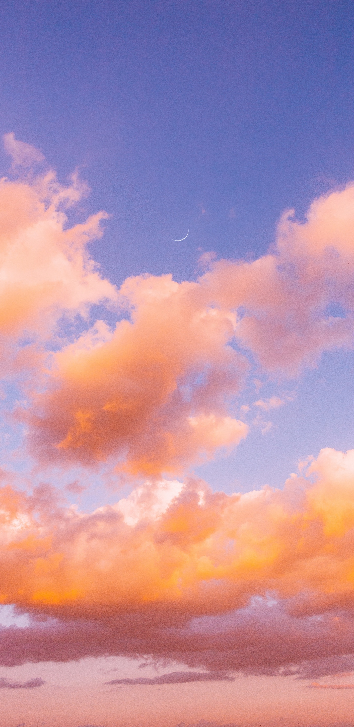 Afterglow, Cumulus, Ambiente, Noche, Mañana. Wallpaper in 1440x2960 Resolution