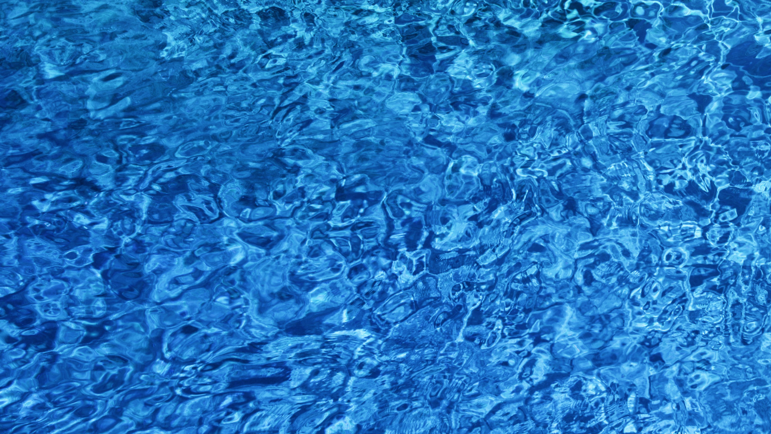 Blue Body of Water During Daytime. Wallpaper in 2560x1440 Resolution