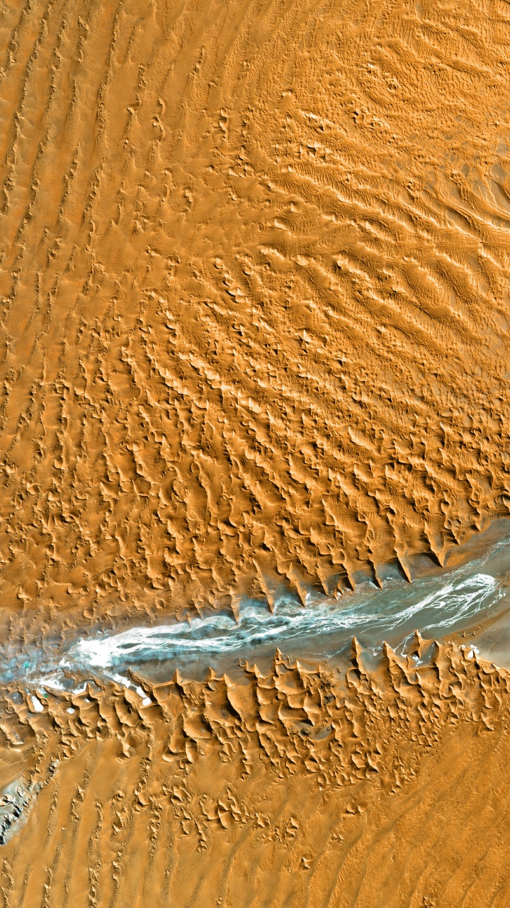 Desserts, Erg, Holz, Düne, Sand. Wallpaper in 720x1280 Resolution