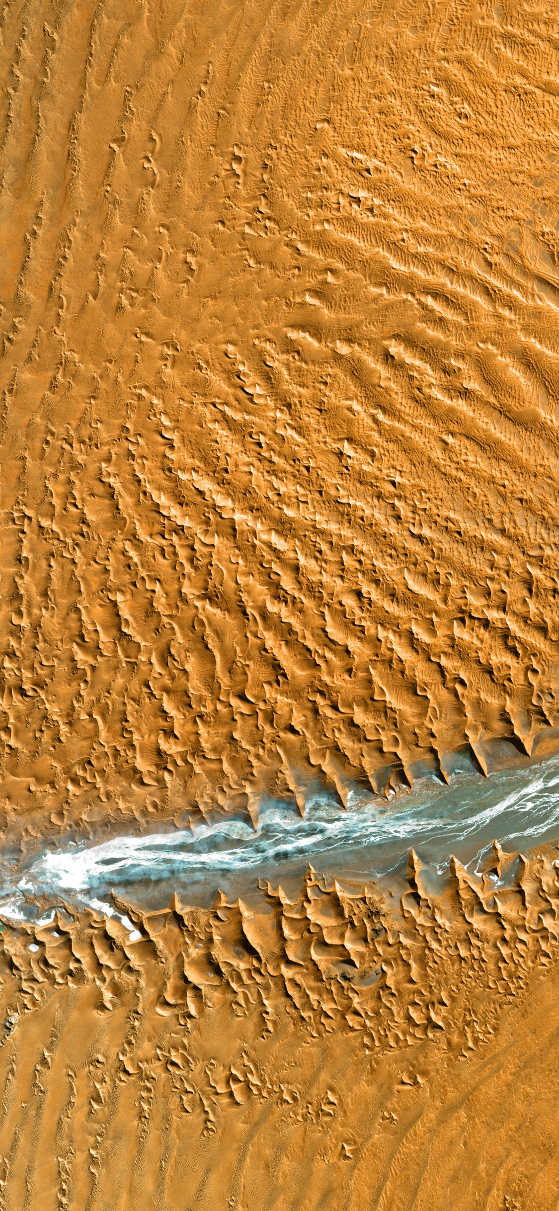 Erg, Madera, Duna, Arena, Geología. Wallpaper in 1125x2436 Resolution