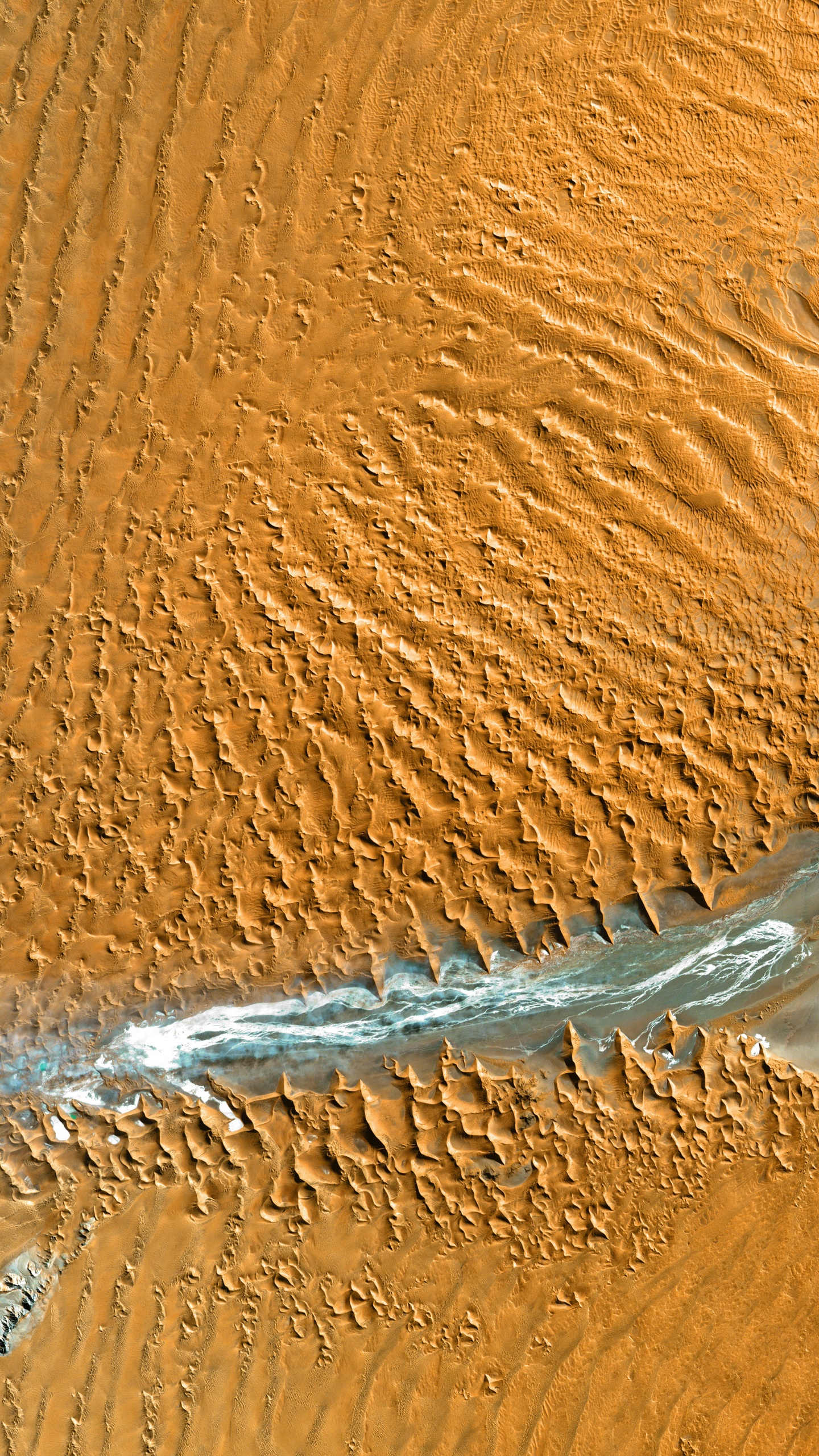 Erg, Madera, Duna, Arena, Geología. Wallpaper in 1440x2560 Resolution