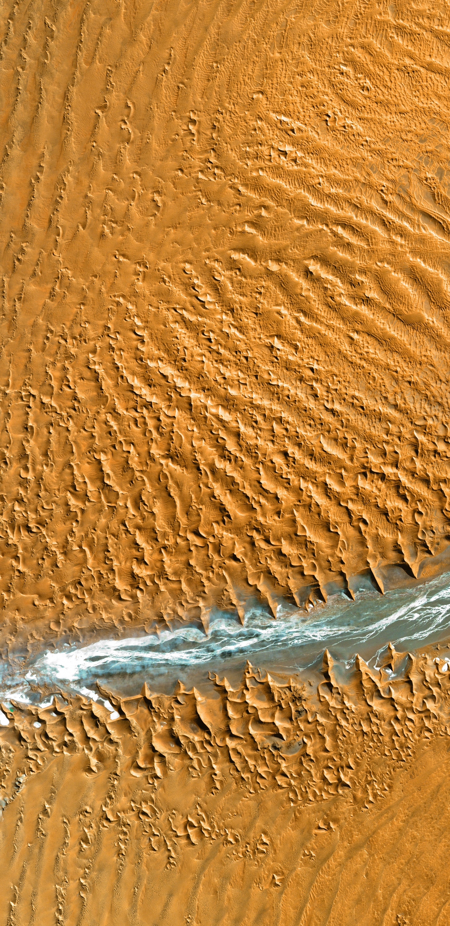 Erg, Madera, Duna, Arena, Geología. Wallpaper in 1440x2960 Resolution