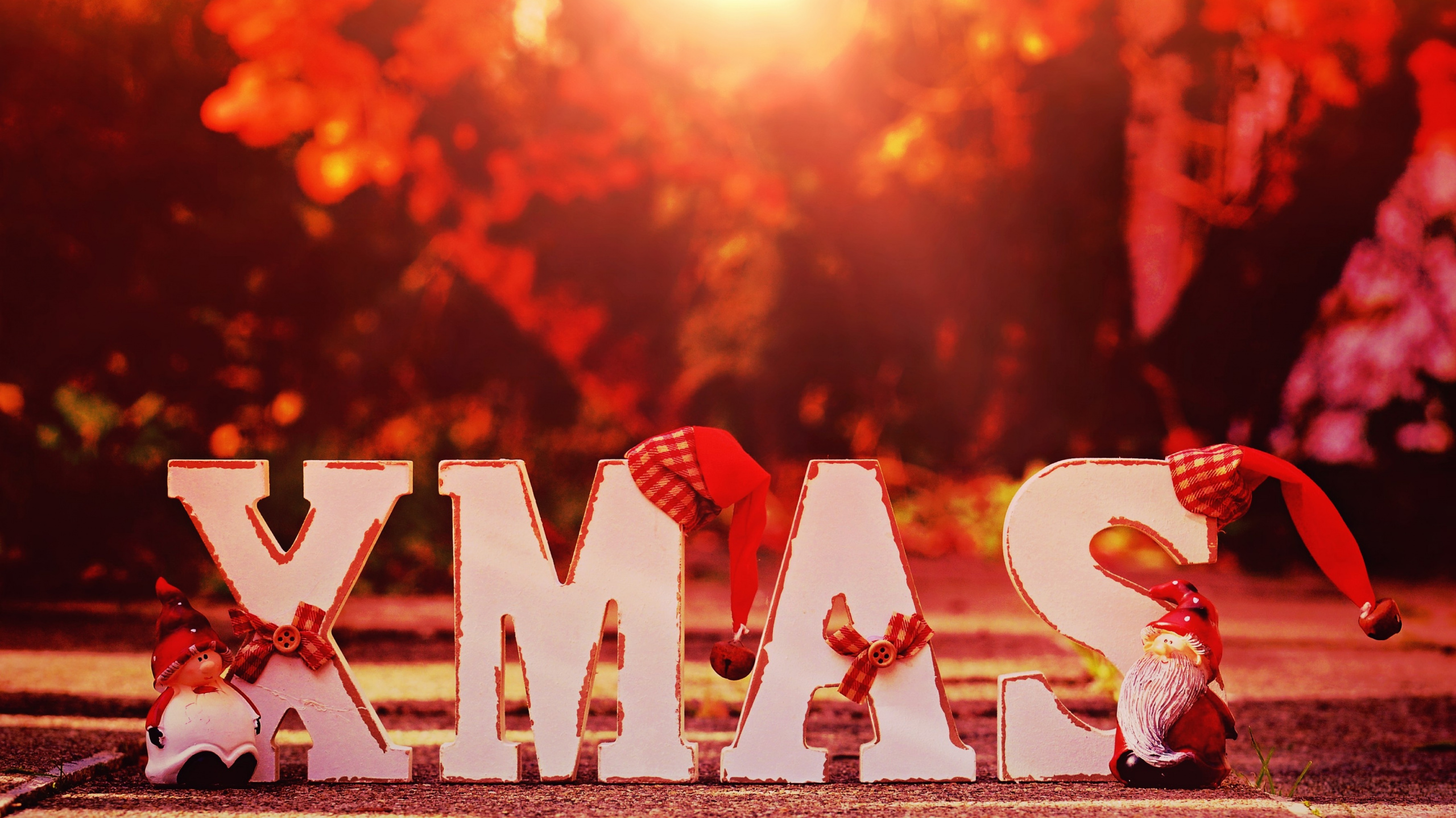 El Día De Navidad, Rojo, Calor, Evento, Felicidad. Wallpaper in 2560x1440 Resolution