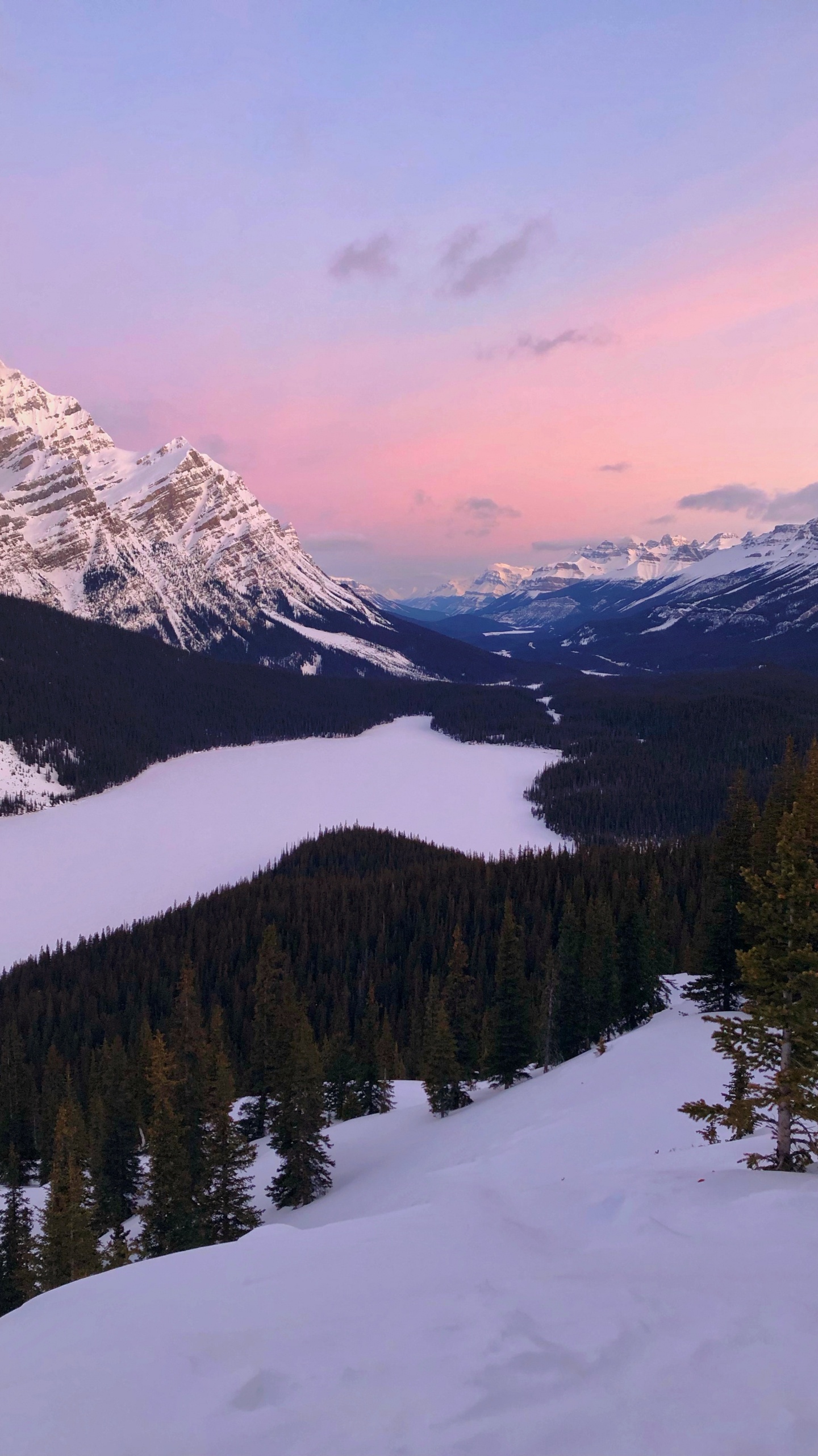 Peyto Lake, Bow Lake, Moraine Lake, Montaña, Lago. Wallpaper in 1440x2560 Resolution