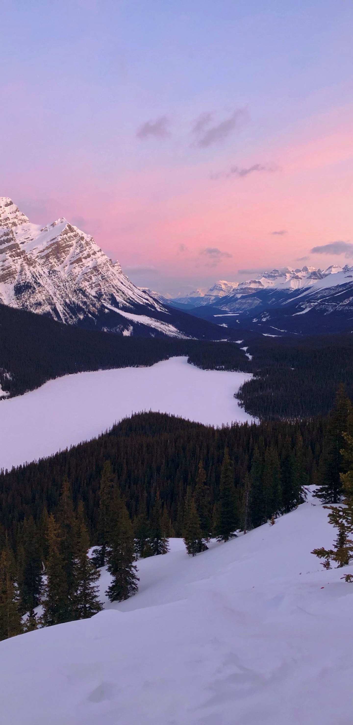 Peyto Lake, Bow Lake, Moraine Lake, Mountain, Lake. Wallpaper in 1440x2960 Resolution
