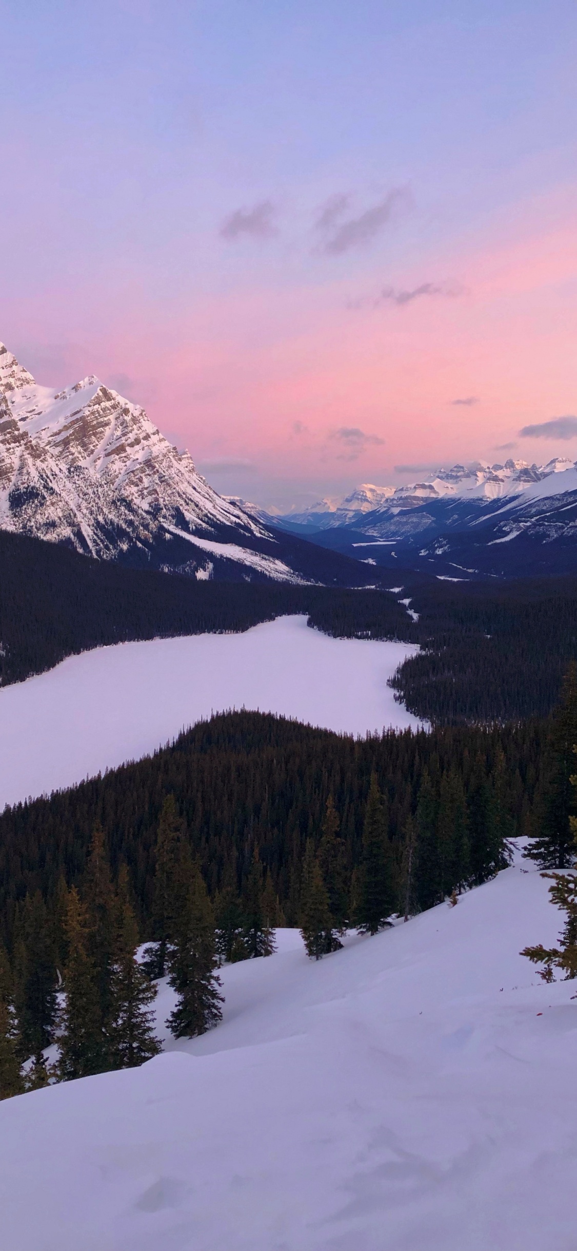 Peyto Lake, Bow Lake, Moraine Lake, See, Bergigen Landschaftsformen. Wallpaper in 1125x2436 Resolution