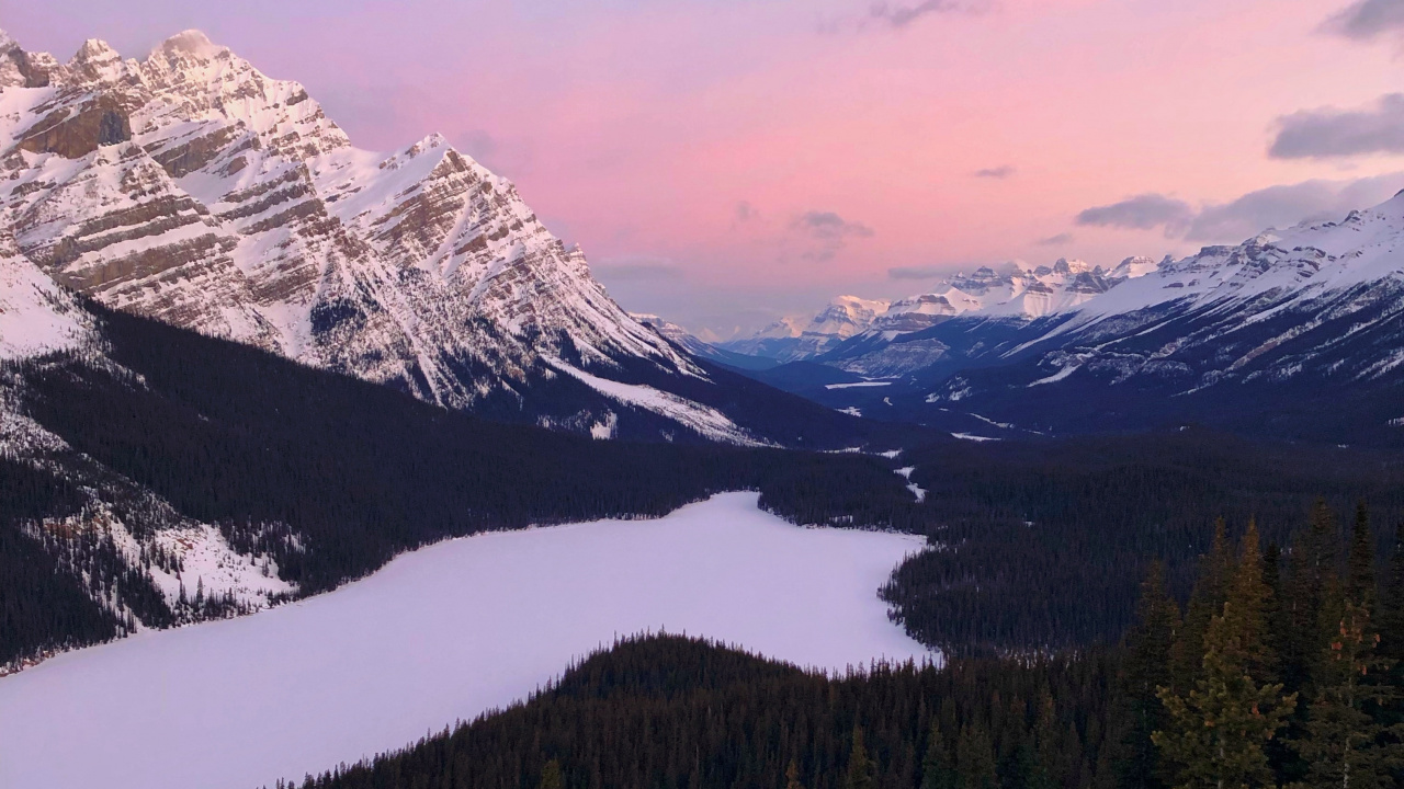 Peyto Lake, Bow Lake, Moraine Lake, See, Bergigen Landschaftsformen. Wallpaper in 1280x720 Resolution