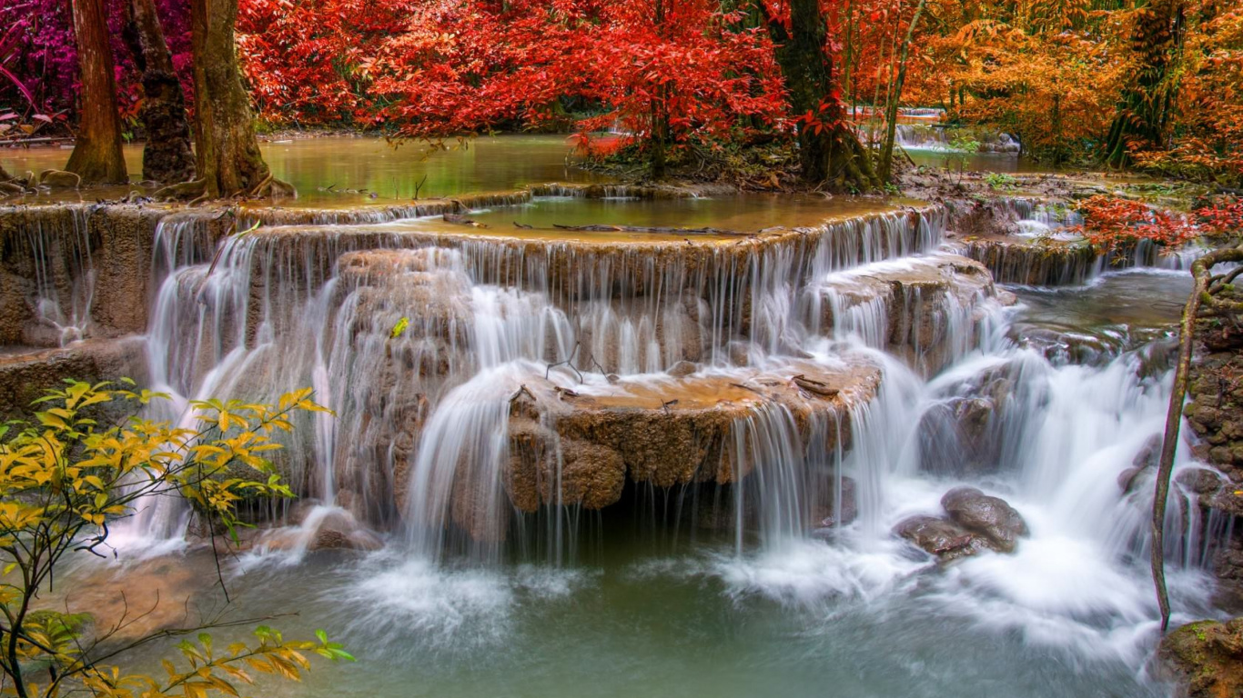 Water Falls With Red and Green Plants. Wallpaper in 1366x768 Resolution