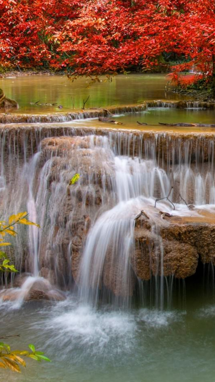 Water Falls With Red and Green Plants. Wallpaper in 750x1334 Resolution