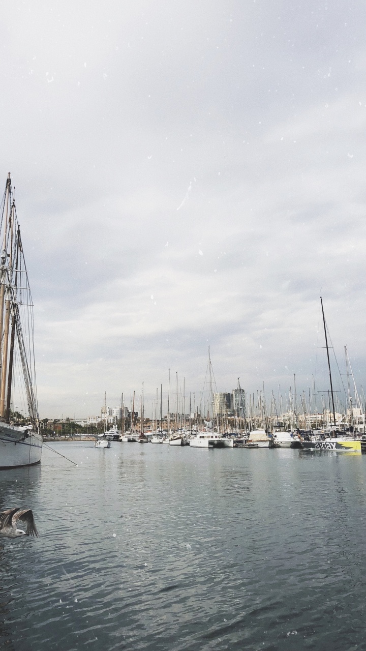 Marina, Sail, Sailing, Mast, Boat. Wallpaper in 720x1280 Resolution
