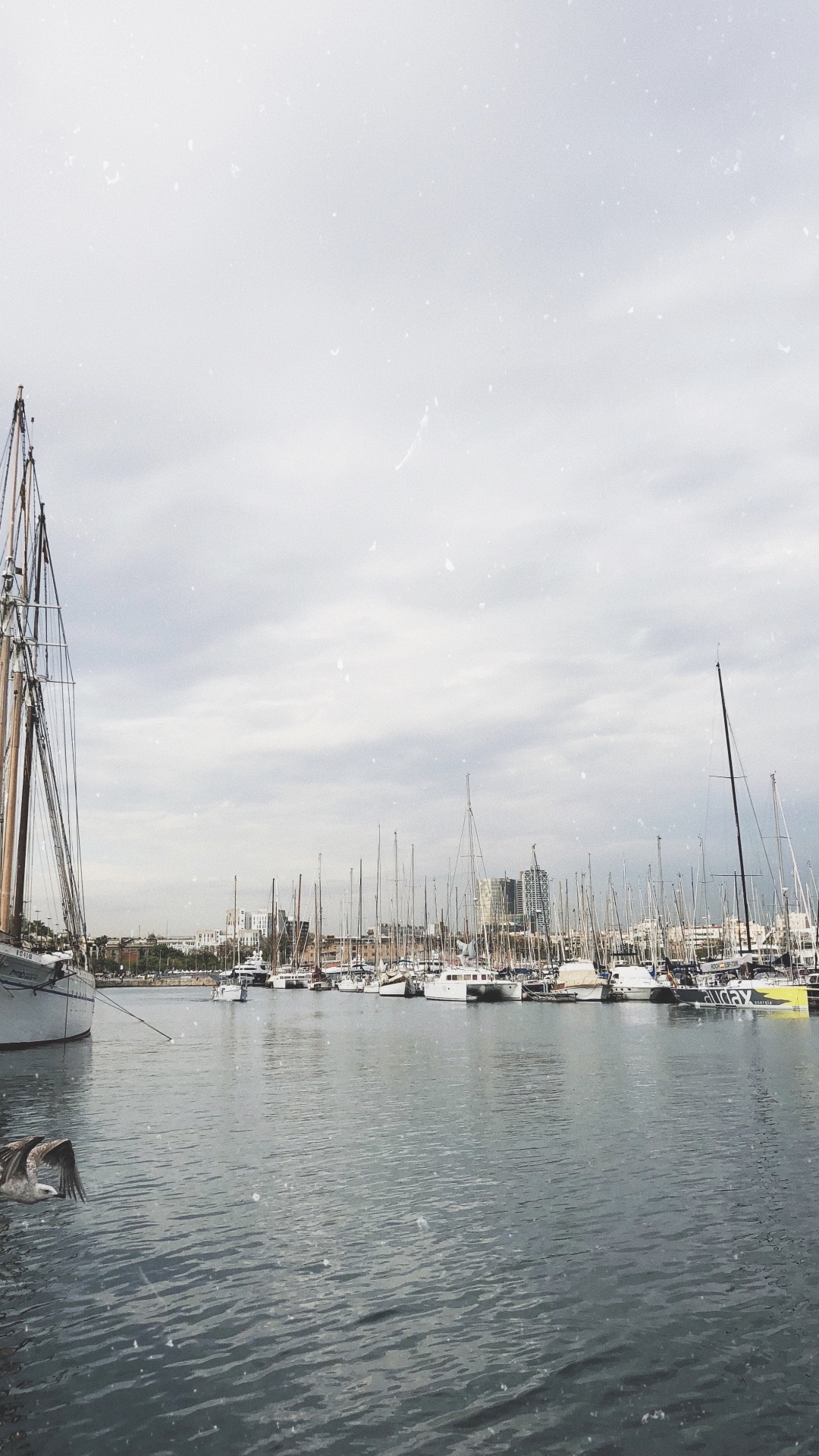 Marina, Segel, Segeln, Mast, Boot. Wallpaper in 1080x1920 Resolution