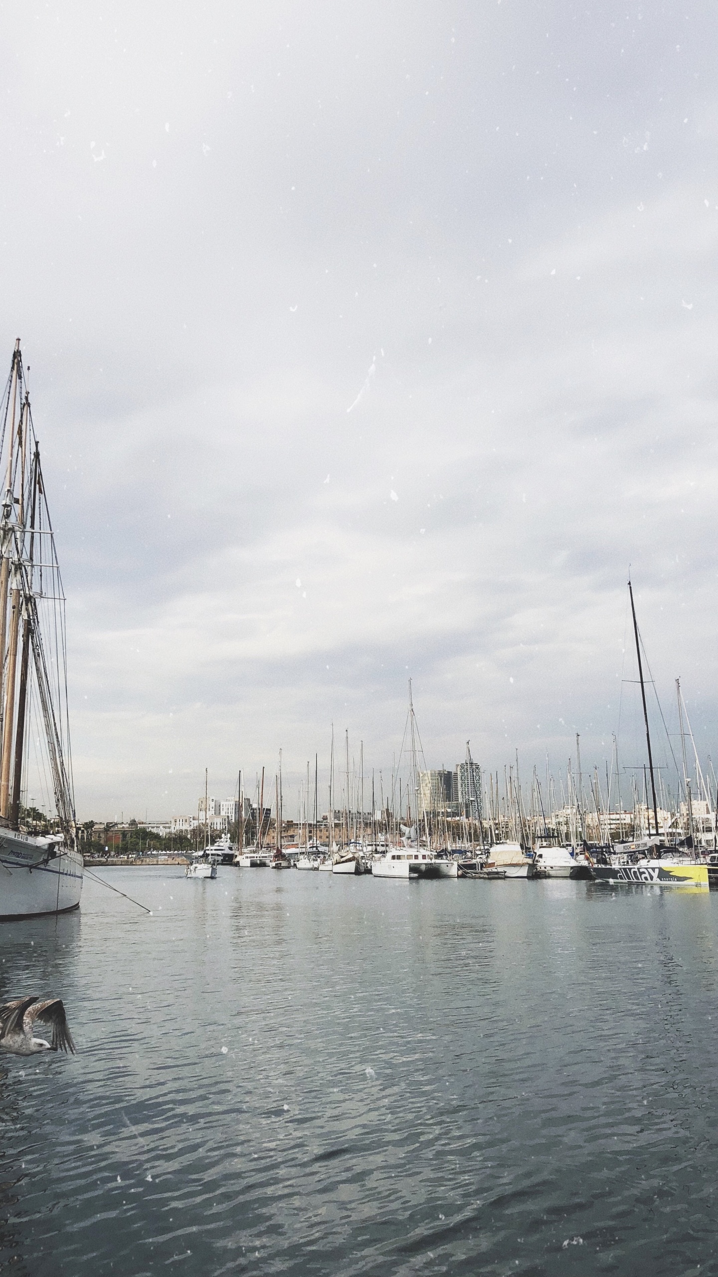 Marina, Segel, Segeln, Mast, Boot. Wallpaper in 1440x2560 Resolution