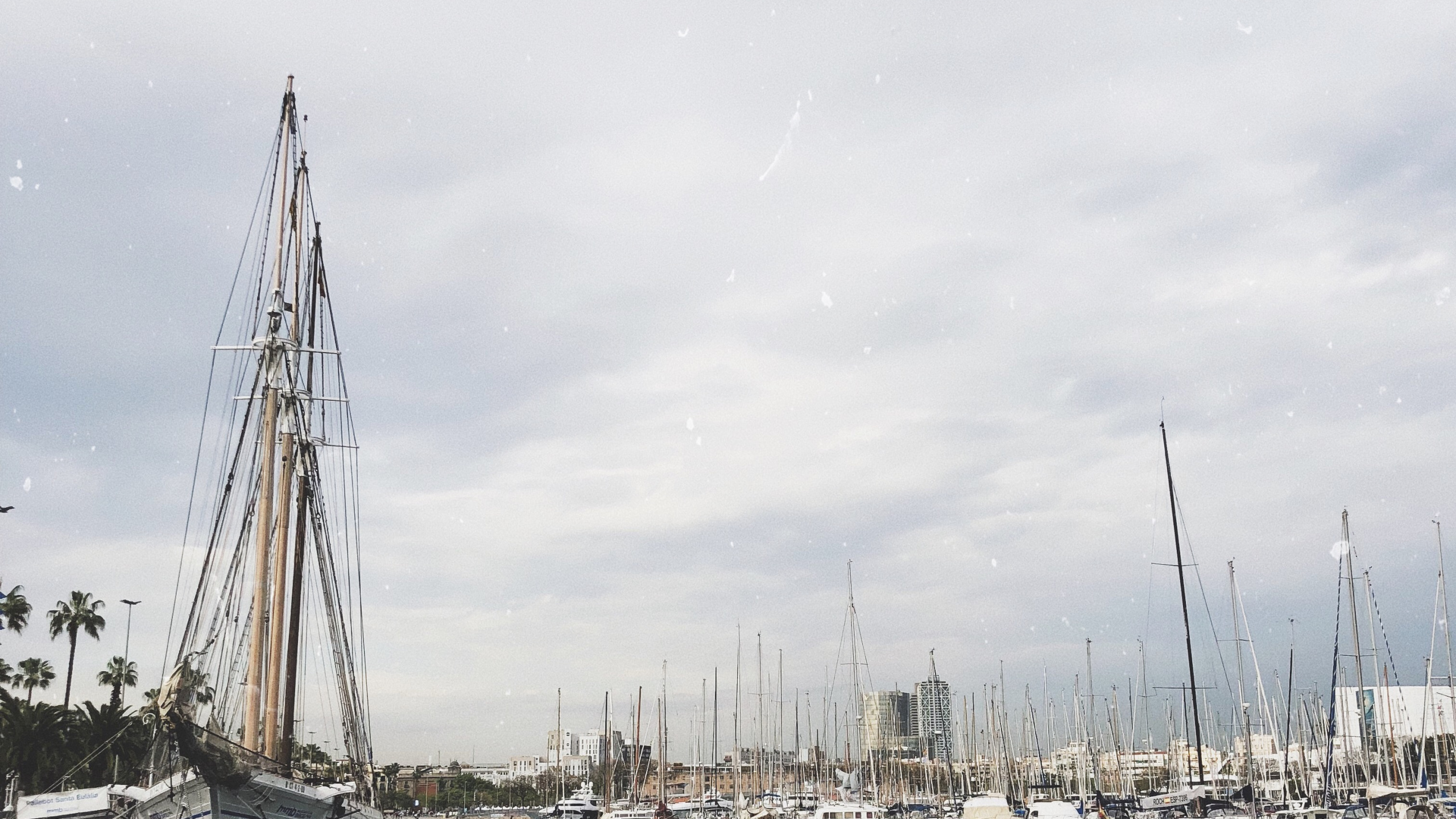 Marina, Segel, Segeln, Mast, Boot. Wallpaper in 2560x1440 Resolution