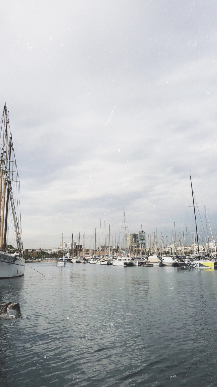 Marina, Segel, Segeln, Mast, Boot. Wallpaper in 750x1334 Resolution