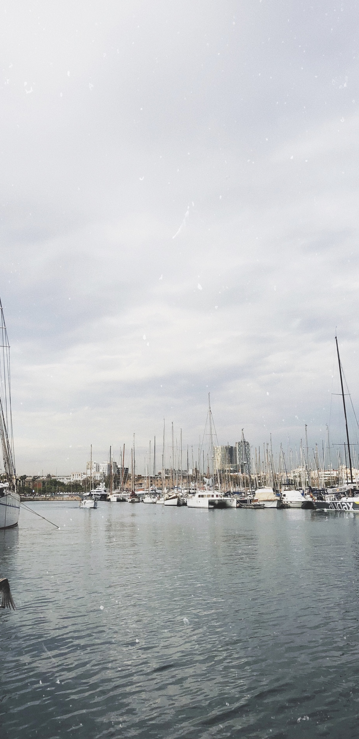 Marina, Voile, Mât, Bateau, Eau. Wallpaper in 1440x2960 Resolution