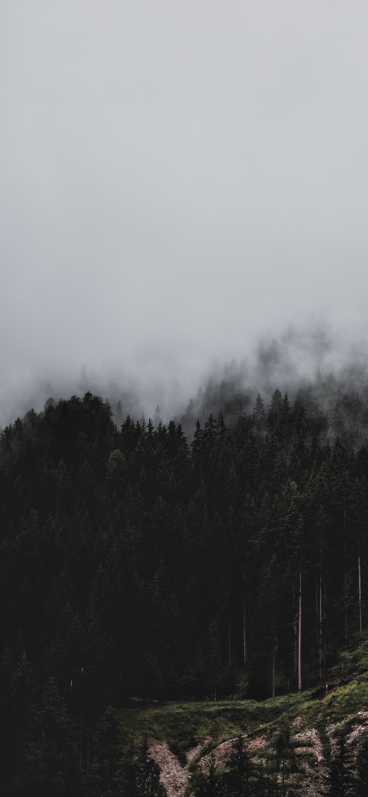 Brouillard, Highland, Station de Montagne, Ciel, Smartphone. Wallpaper in 1242x2688 Resolution