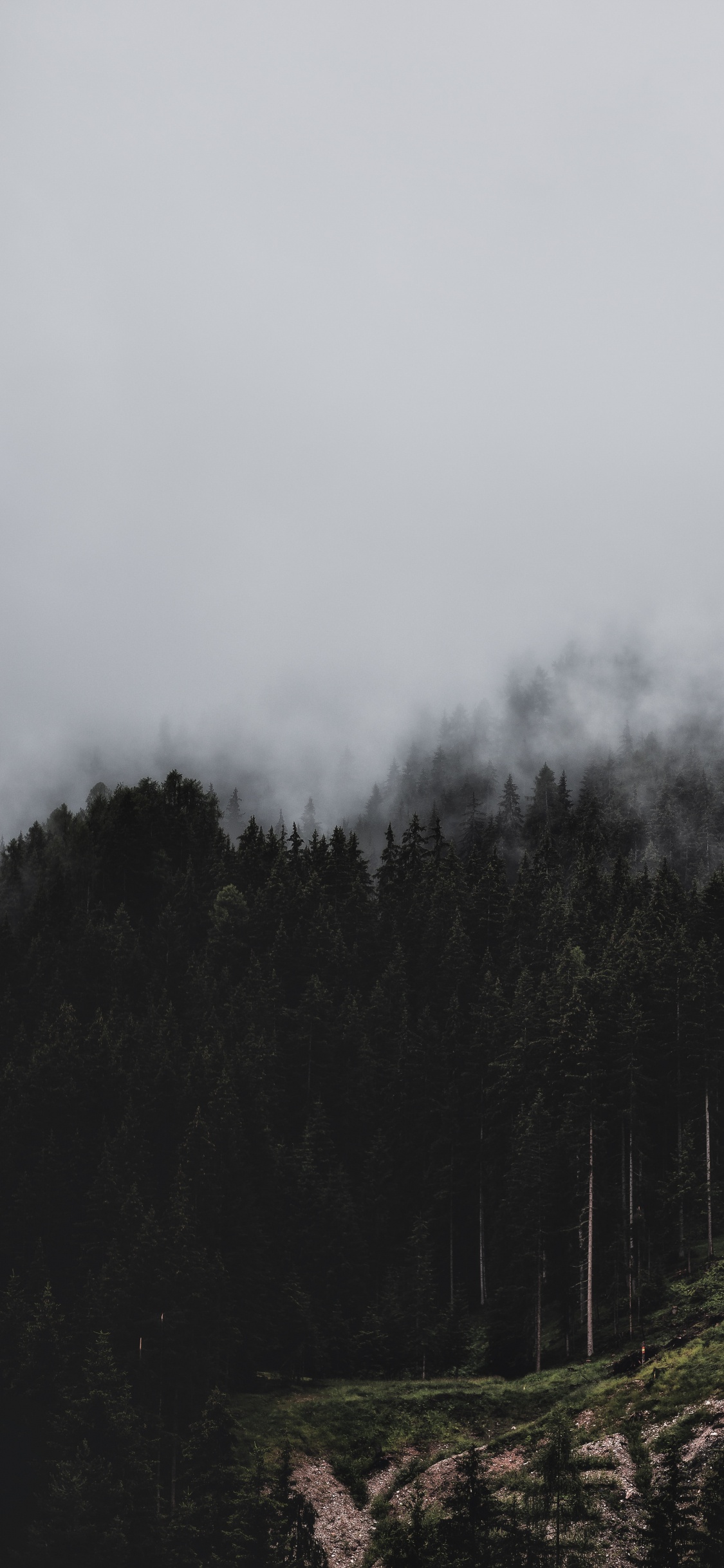 Bruma, Desierto, Montaña, Highland, Niebla. Wallpaper in 1125x2436 Resolution